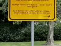 20161908 Gevaarlijk water Park Merwestein Dordrecht Tstolk 002
