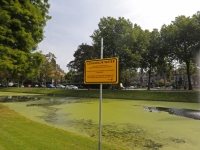 20161908 Gevaarlijk water Park Merwestein Dordrecht Tstolk