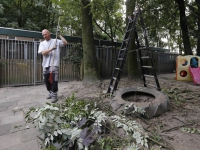 20162609 Hovenier helpt Dierenasiel Louterbloemen Kil 1 Dordrecht Tstolk 002