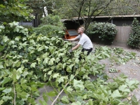 20162609 Hovenier helpt Dierenasiel Louterbloemen Kil 1 Dordrecht Tstolk