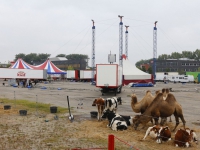 20160609 Opbouwen Circus Louis Knie Laan van Europa Dordrecht Tstolk 003