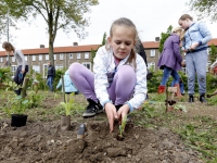 20162005 Tuinieren in de groeituin Patersweg Dordrecht Tstolk 001