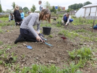 20162005 Tuinieren in de groeituin Patersweg Dordrecht Tstolk 003