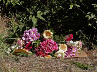 Bloemen voor omgekomen Dordtenaar Dordrecht