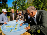 Onthulling Moluks herinneringsmonument  Essenhof Dordrecht