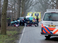 Auto frontaal tegen boom Provincialeweg Dordrecht Tstolk