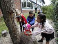 Beleeftuin geopend SBO De Toekomst Dordrecht