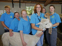 Klein alpaca geboren kinderboerderij Papenhoeve