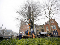 Beuk verhuist naar Vest Dordrecht