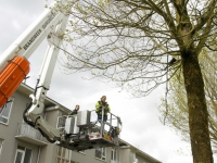 20161904 Kraai gered uit boom Noordendijk Dordrecht Tstolk 003