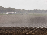 Bewateren van akkers Dordtse Biesbosch Dordrecht