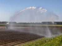 Bewateren van akkers Dordtse Biesbosch Dordrecht