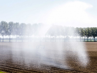 Bewateren van akkers Dordtse Biesbosch Dordrecht