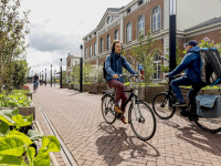 Bewegend bos op meerdere plekken in Dordrecht