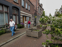 Bewegend bos op meerdere plekken in Dordrecht