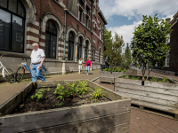 Bewegend bos op meerdere plekken in Dordrecht