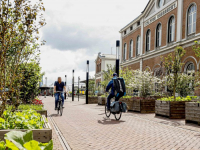 Bewegend bos op meerdere plekken in Dordrecht