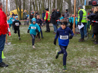 Merwelandencross Dordrecht