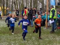 Merwelandencross Dordrecht