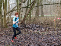 Merwelandencross Dordrecht