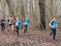 Merwelandencross Dordrecht