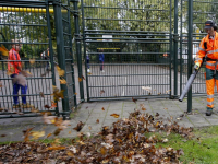 Herfstbladeren