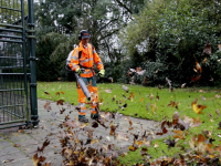 Herfstbladeren