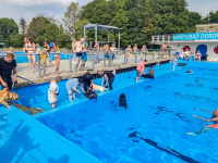 Hondenzwemmen als afsluiting Wantijbad Dordrecht