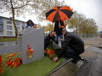 Kunstgras met bloemen bij ondergrondse container Krispijnseweg Dordrecht