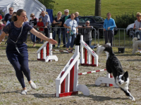 20170209 Boerendag druk bezocht Nieuwe Merwedeweg Dordrecht Tstolk