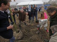 Aanplanten van SOK-boom en andere bomen Nieuwe Dordtse Biesbosch