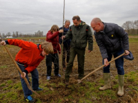 Aanplanten van SOK-boom en andere bomen Nieuwe Dordtse Biesbosch