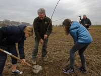 Aanplanten van SOK-boom en andere bomen Nieuwe Dordtse Biesbosch