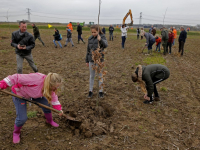 Aanplanten van SOK-boom en andere bomen Nieuwe Dordtse Biesbosch