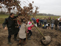 Aanplanten van SOK-boom en andere bomen Nieuwe Dordtse Biesbosch