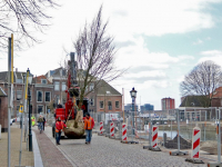 Bomen geplant lange Geldersekade Dordrecht