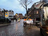 Bomen weggehaald Lange Geldersekade Dordrecht