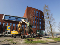 Bomen naar Wielwijkpark verhuisd Dordrecht