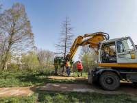 Bomen naar Wielwijkpark verhuisd Dordrecht