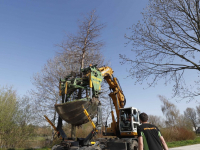 Bomen naar Wielwijkpark verhuisd Dordrecht