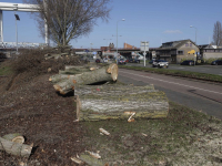 Bomen gekapt Laan vd Naties Dordrecht