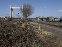 Bomen gekapt Laan vd Naties Dordrecht
