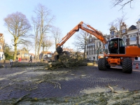 20161104 Bomen gekapt voor het nieuwe Vrieseplein Dordrecht Tstolk 003