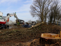 Bomenkap hoek Mijlweg Laan dv Naties gestart