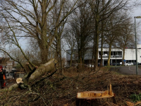 Bomenkap hoek Mijlweg Laan dv Naties gestart