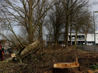 Bomenkap hoek Mijlweg Laan dv Naties gestart