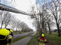 Stormschade Munnikensteeg