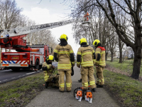 Stormschade Munnikensteeg