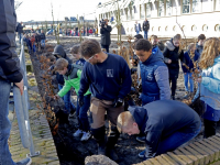 Boomplantdag Dordrecht