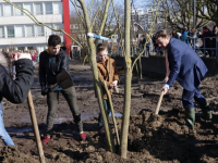 Boomplantdag Dordrecht